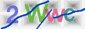 Image Anti-spam