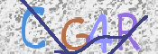 Image Anti-spam